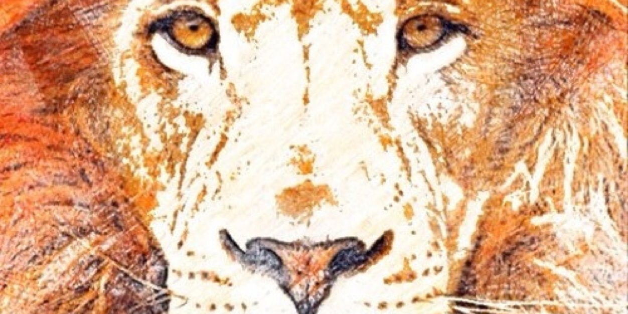 jay_smart's profile banner image