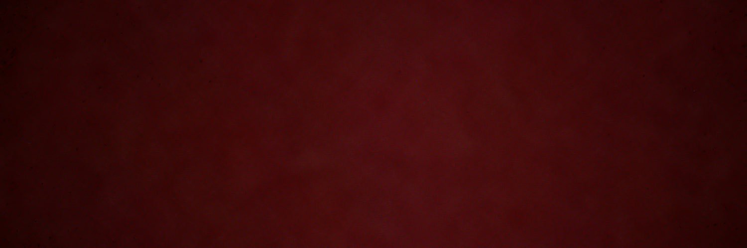 mega_bunch's profile banner image