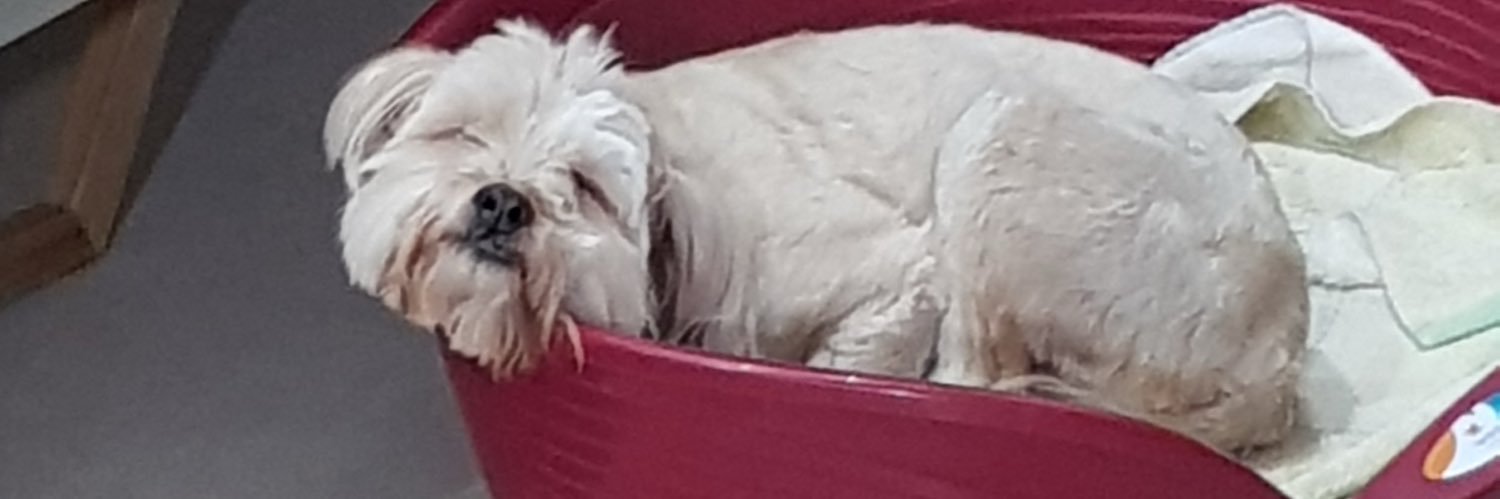 Dror Halpern🔴 banner