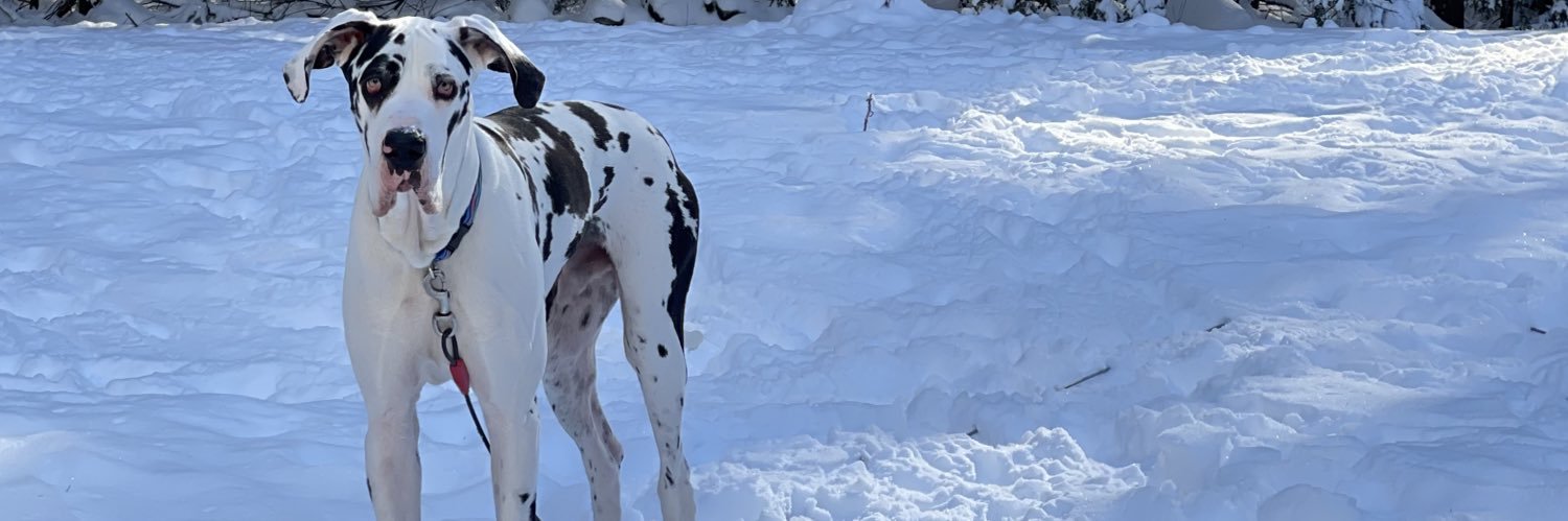 Matt MacManes banner