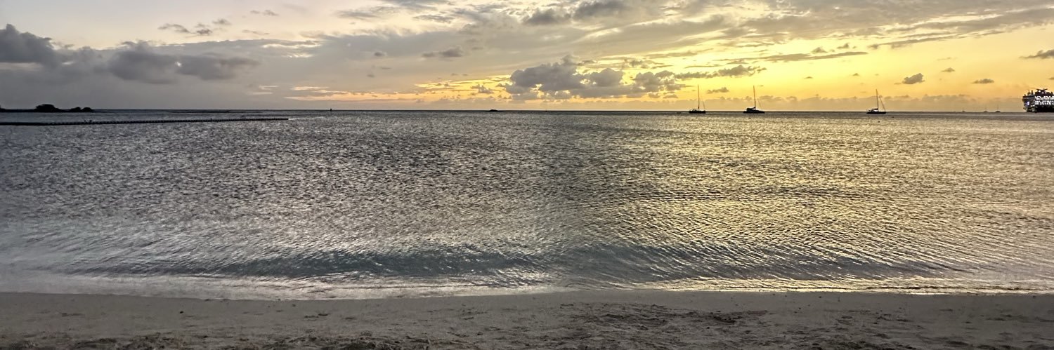 ximelae's profile banner image
