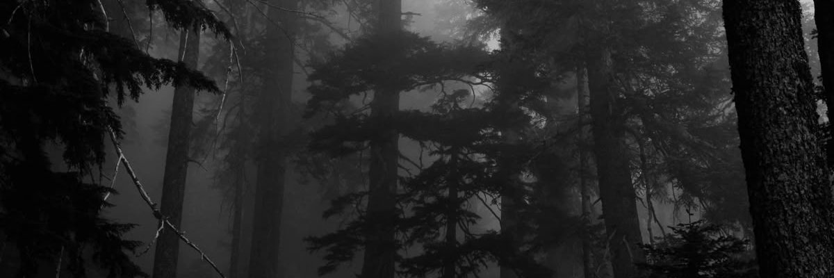 Zoiinks banner