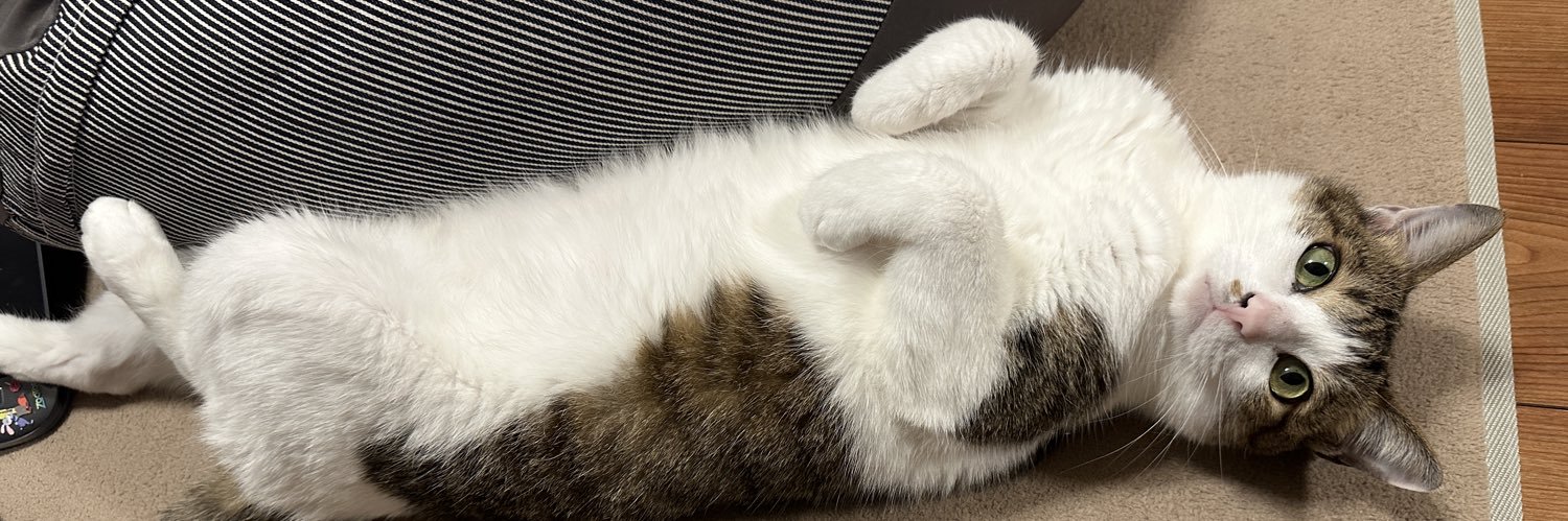 かし・ｘ・ banner