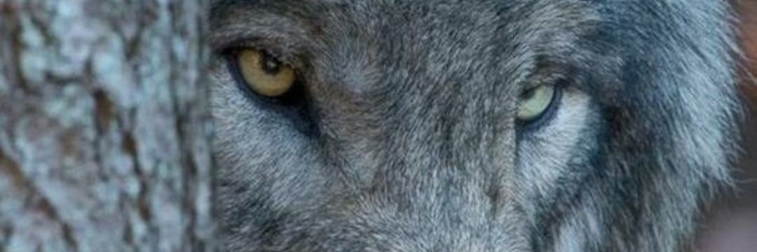 Metinyavas18's profile banner image