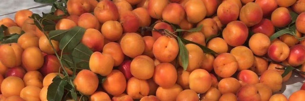 Dang_1997's profile banner image