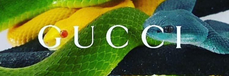 K 👀 banner