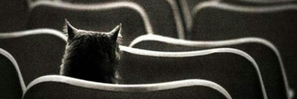 juangaleanorey Profile Banner