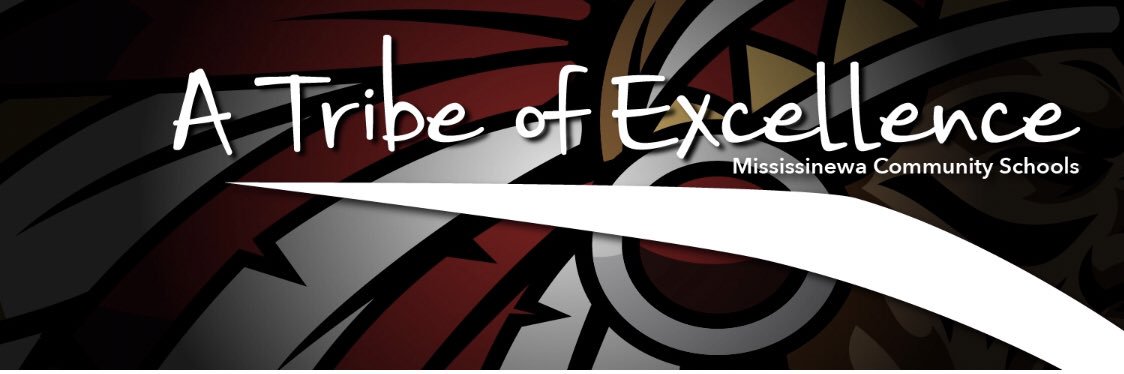 NVStuCouncil's profile banner image