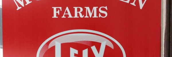 musthaven Profile Banner