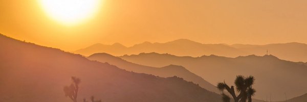 UpInYourVizness Profile Banner