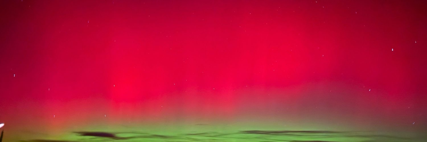 Luca the Siberian Husky banner