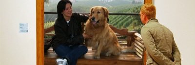 gbertozzi76's profile banner image