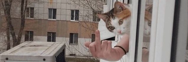 ℝ𝕠𝕤𝕖 𝕄𝕒𝕣𝕚𝕖 ℙ𝕒𝕫 🐈🌳 banner