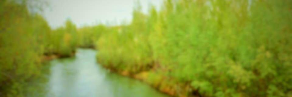 diego7af's profile banner image