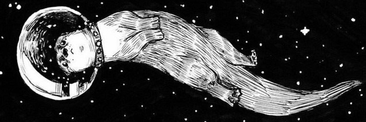 otter banner
