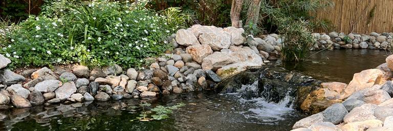 Asha Alexander UN Accredited #ClimateChange Leader banner
