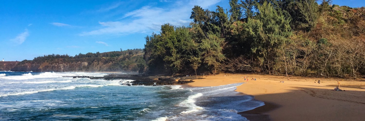 bareguy banner