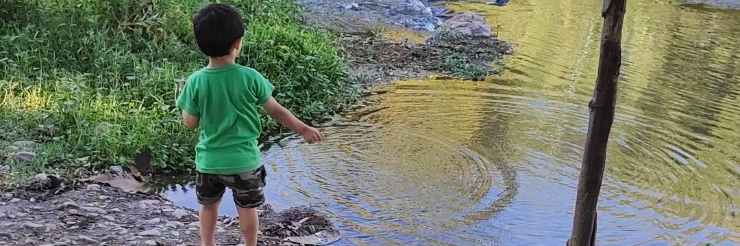 Ariel Gonzalez banner