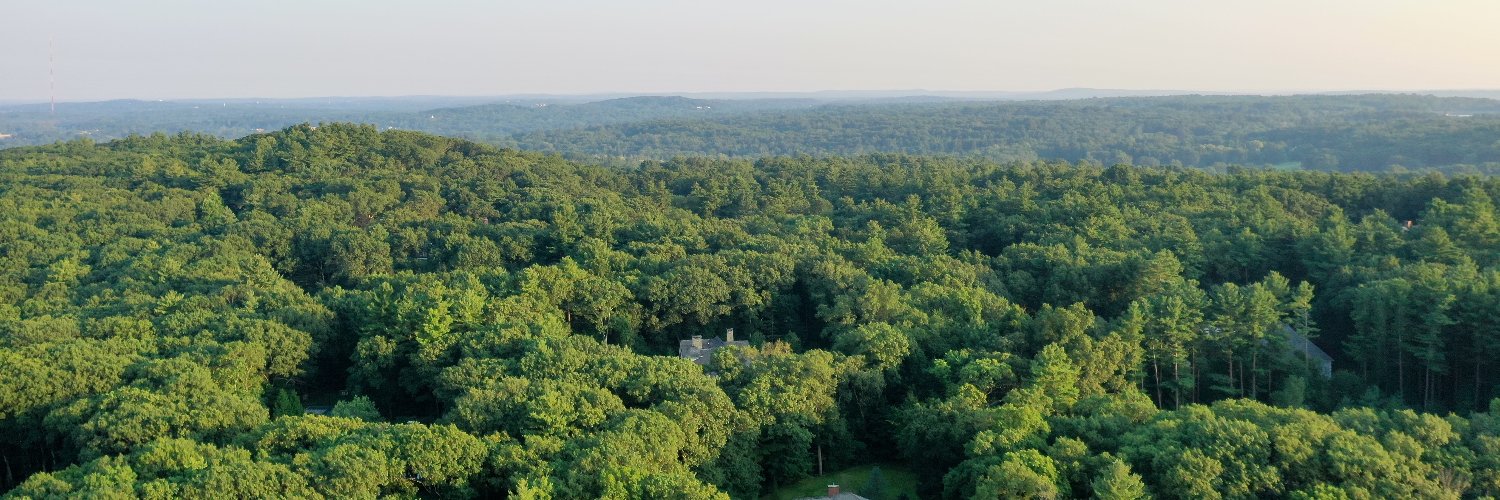 Timber Trade Federation: FLEGT banner