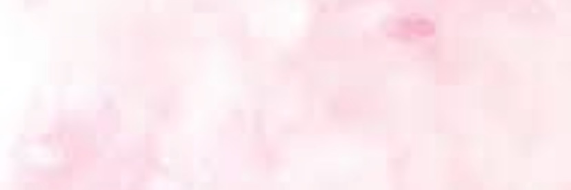 DanielaCrocamo's profile banner image