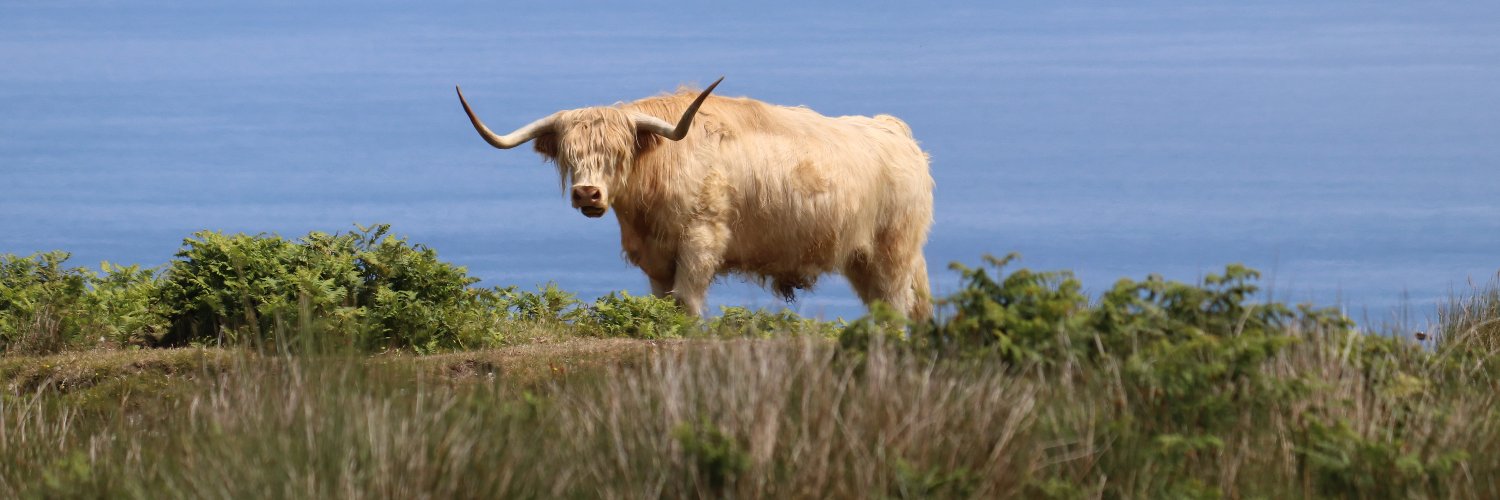 Elizabeth MacGregor banner