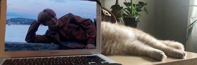 sincerely yours, 🍅 banner