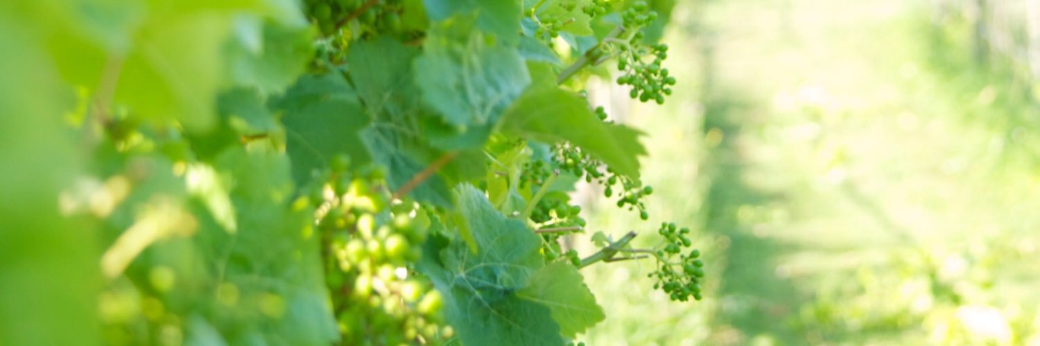 LeeMurphyis's profile banner image