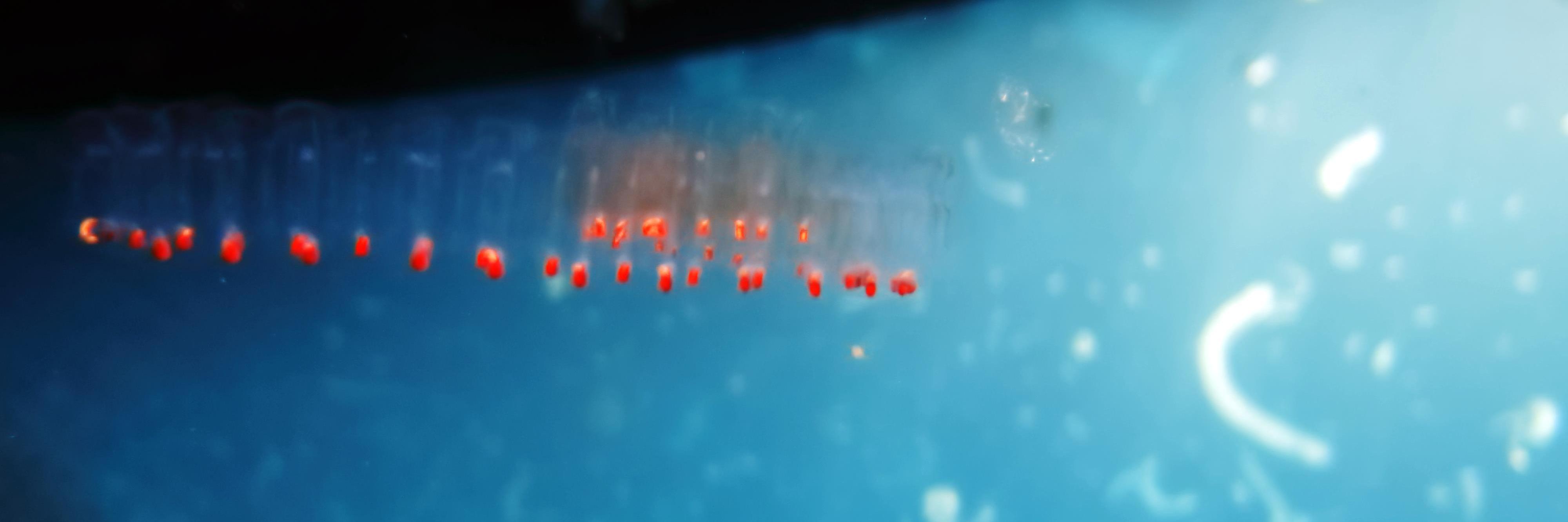 XYFELLY's profile banner image