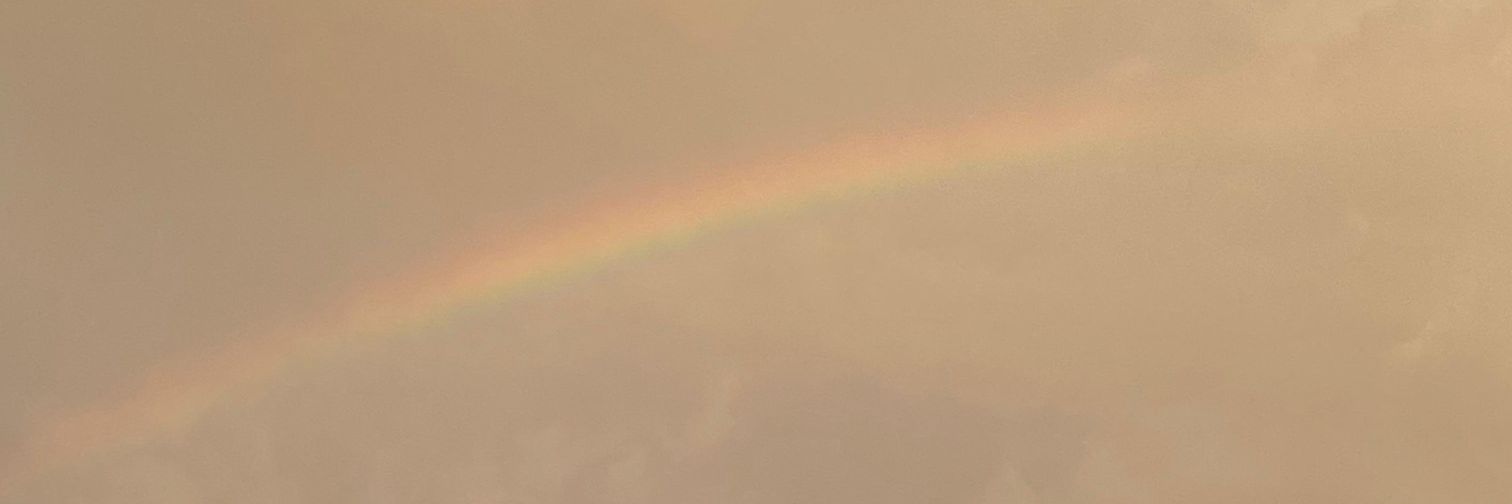 bomies_'s profile banner image