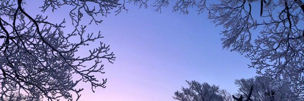 AysnesYu Profile Banner