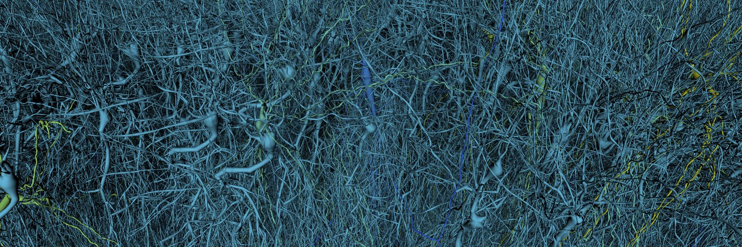 EBRAINS's banner