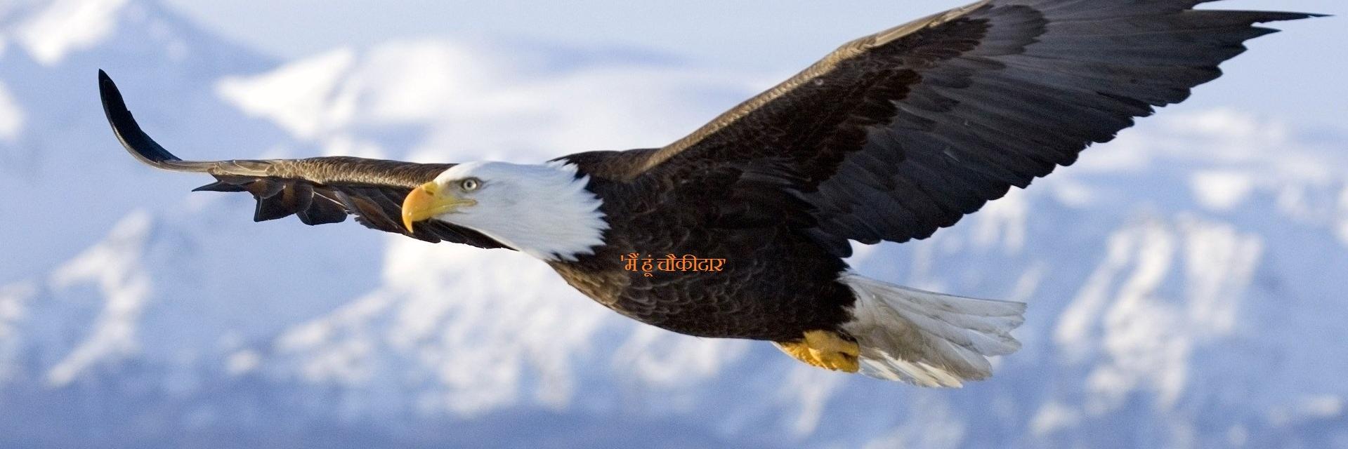 dnsengupta's profile banner image