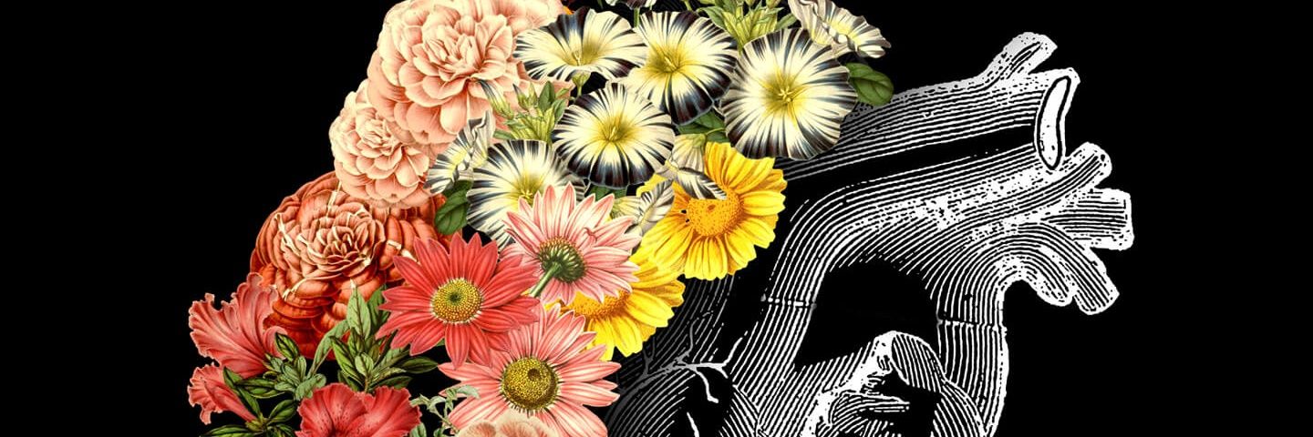 disassemblr's profile banner image