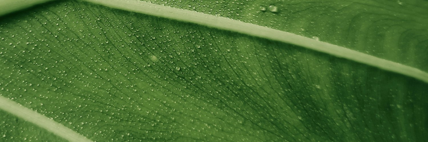 The Earthshot Prize's banner