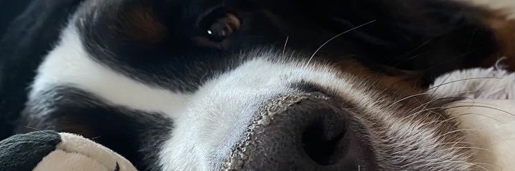 osceanery's profile banner image