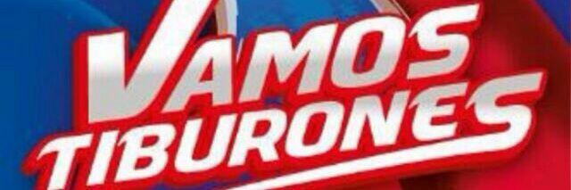 elgons's profile banner image
