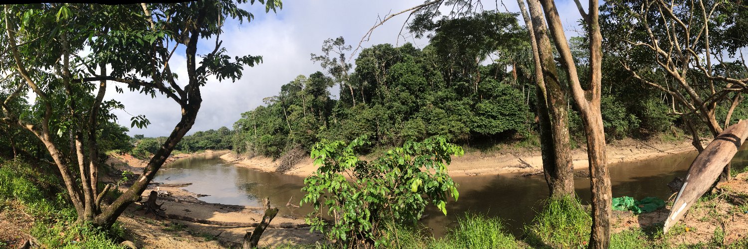 Raul Tito-Tadeo banner