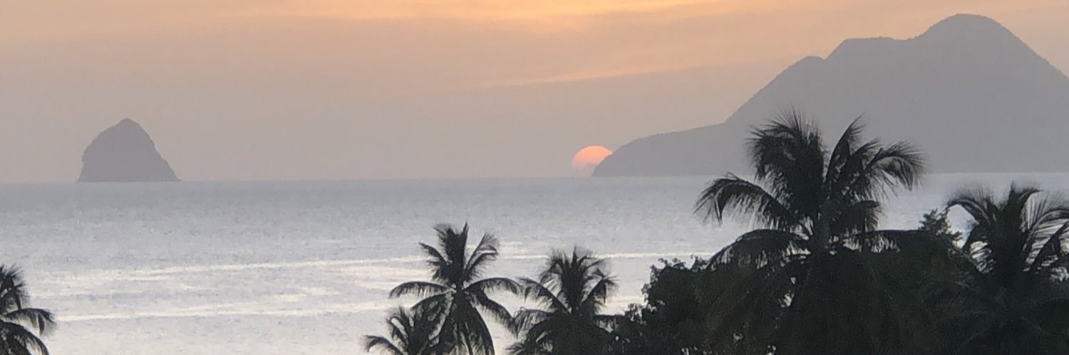 clement_peltier's profile banner image