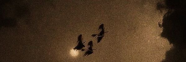 ✨Hekate✨ banner