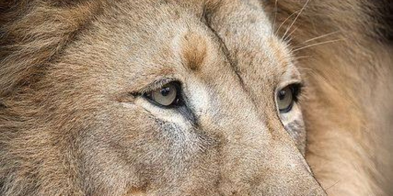 ibarbosa9's profile banner image