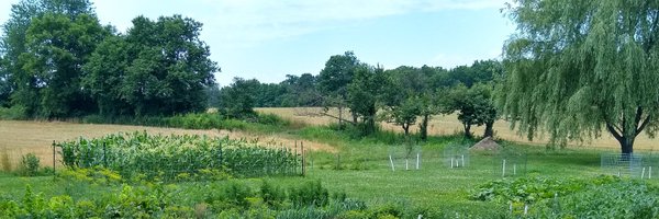 ProfMWarner Profile Banner