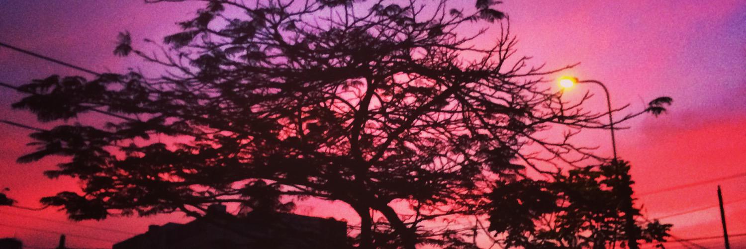Andrea_ZaGi's profile banner image
