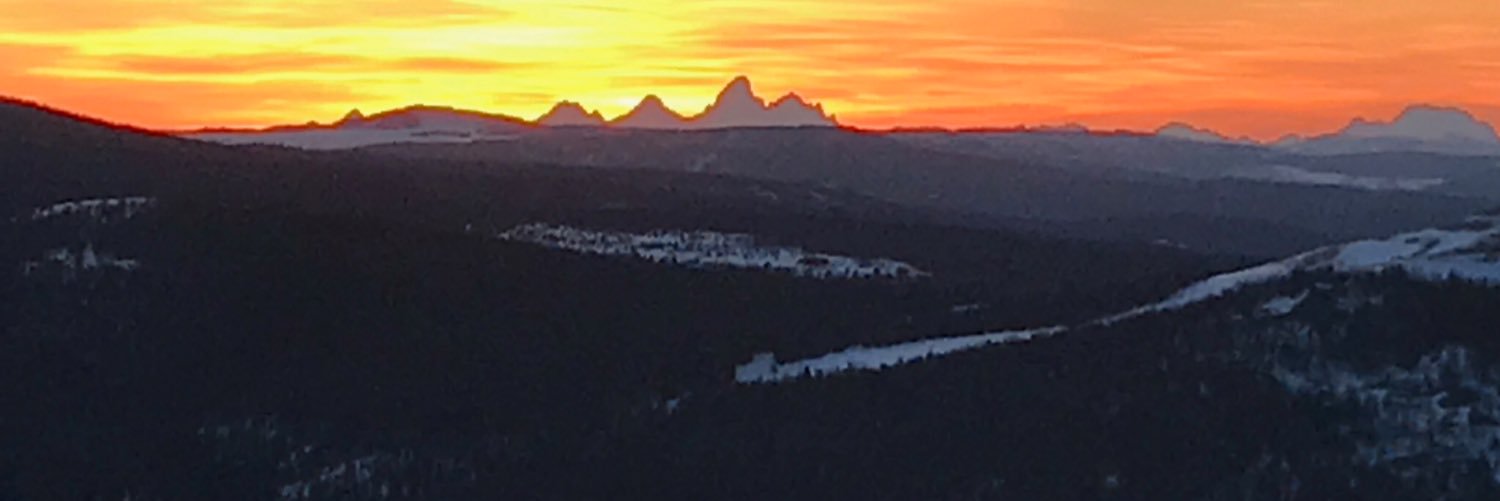 tylermcspadden's profile banner image