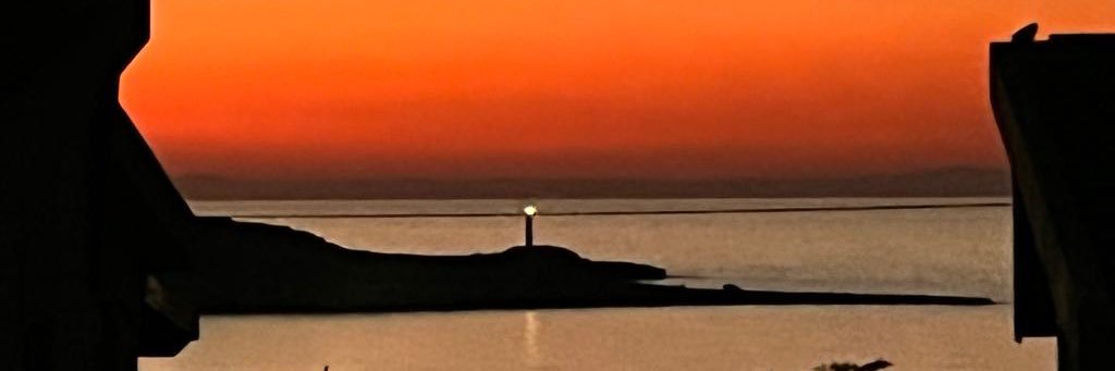 Alison McCourt CBE ARRC banner