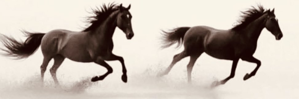 AbSuboh's profile banner image