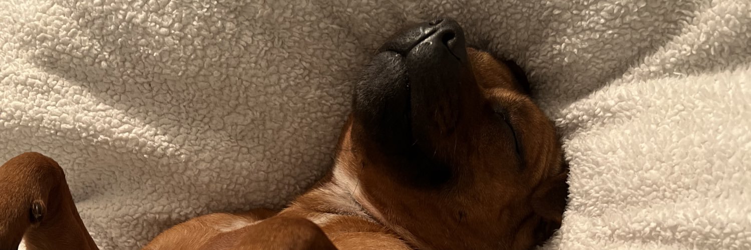 AdamS2047's profile banner image