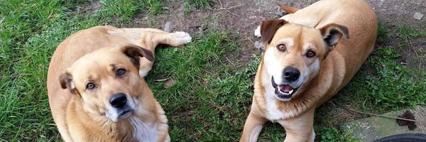 TomaisMac Profile Banner