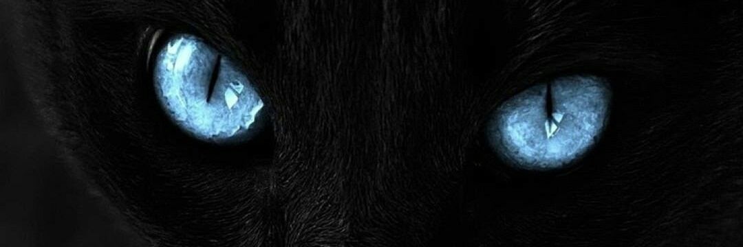 ITSUGA banner