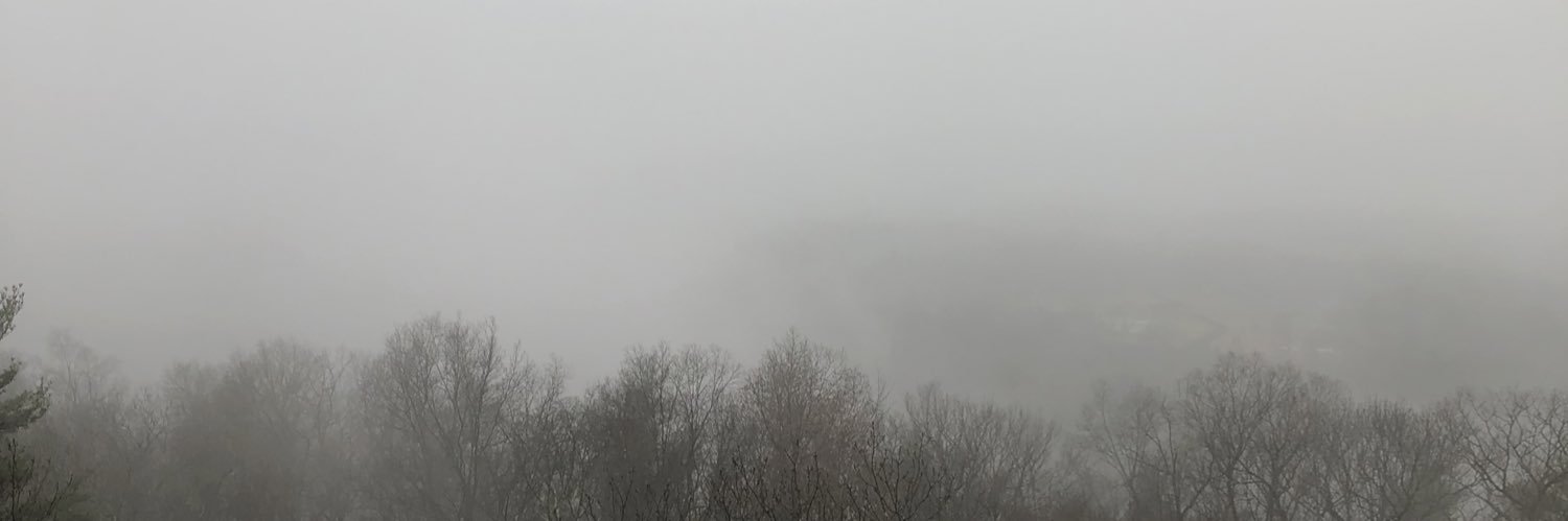 susan_debevec's profile banner image