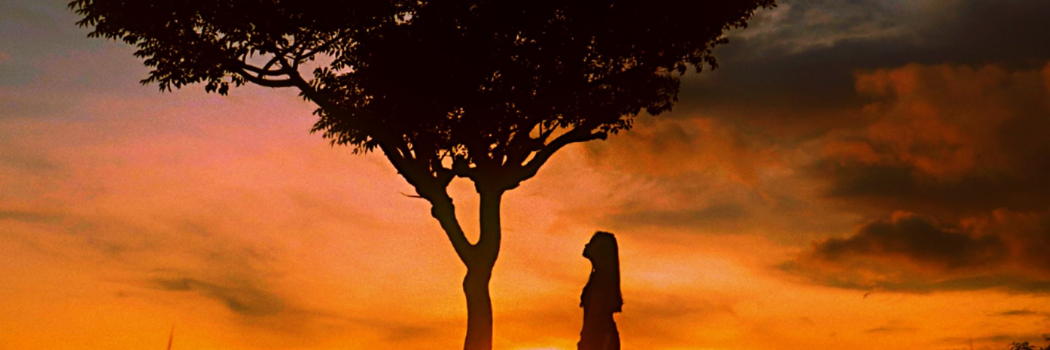 annebertha's profile banner image